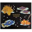 Jogo Scratch Boards: Fish - Edicare Cheap